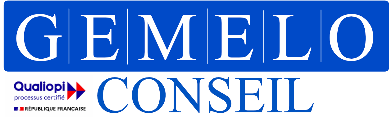 Gemelo Conseil — logo